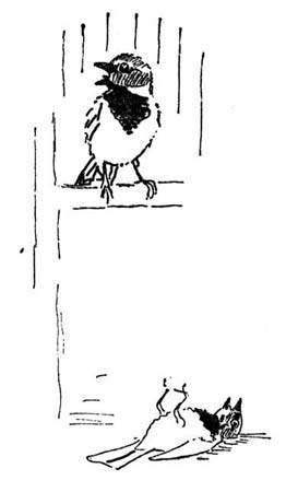 A living sparrow perched above a dead sparrow