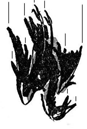 A dead sparrow falling headfirst