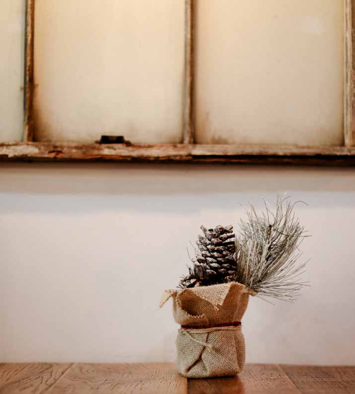 Winter greenery and a pinecone arranged by a window