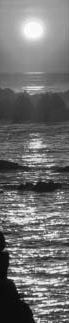 Bright moonlight reflected across water beside a dark shoreline.