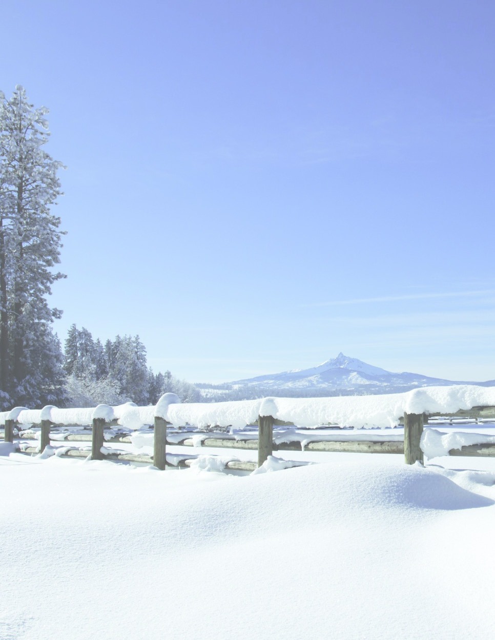 A snow-covered rural landscape