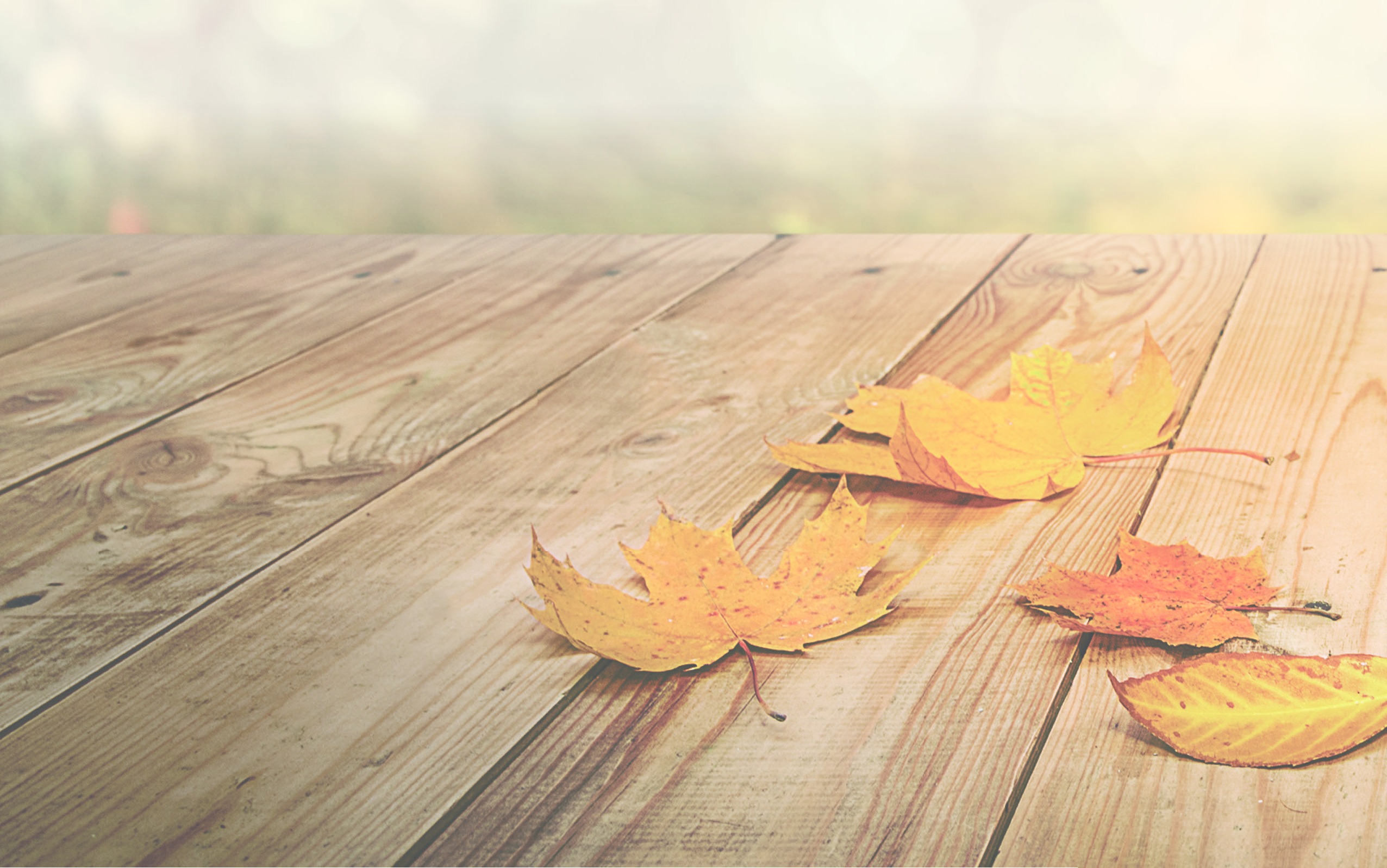 Autumn maple leaves on weathered wooden boards