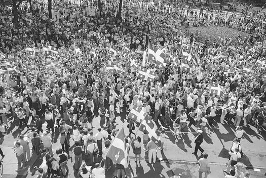 A large outdoor crowd carrying flags