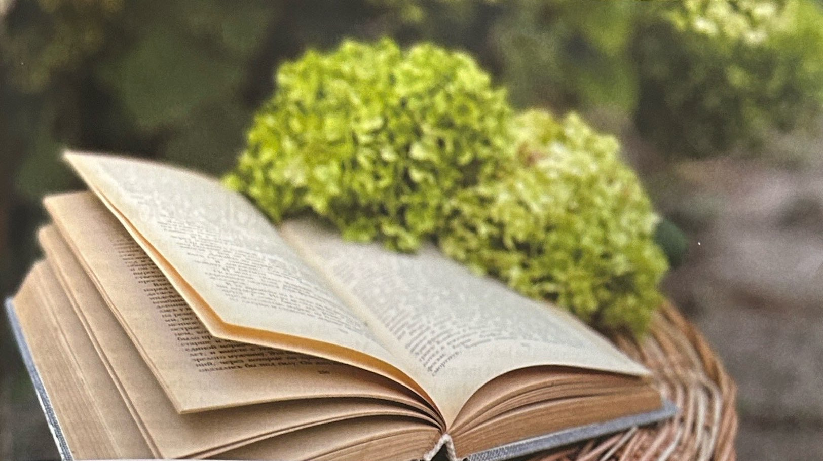 An open book lies on a wicker basket with green flowers behind it.