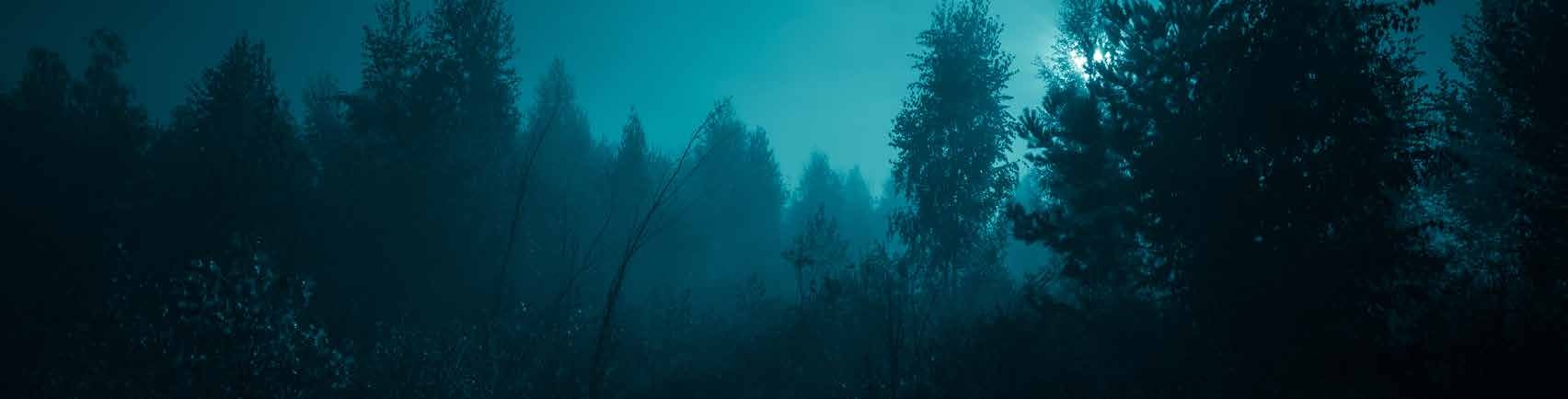 A blue nighttime forest beneath a cloudy sky