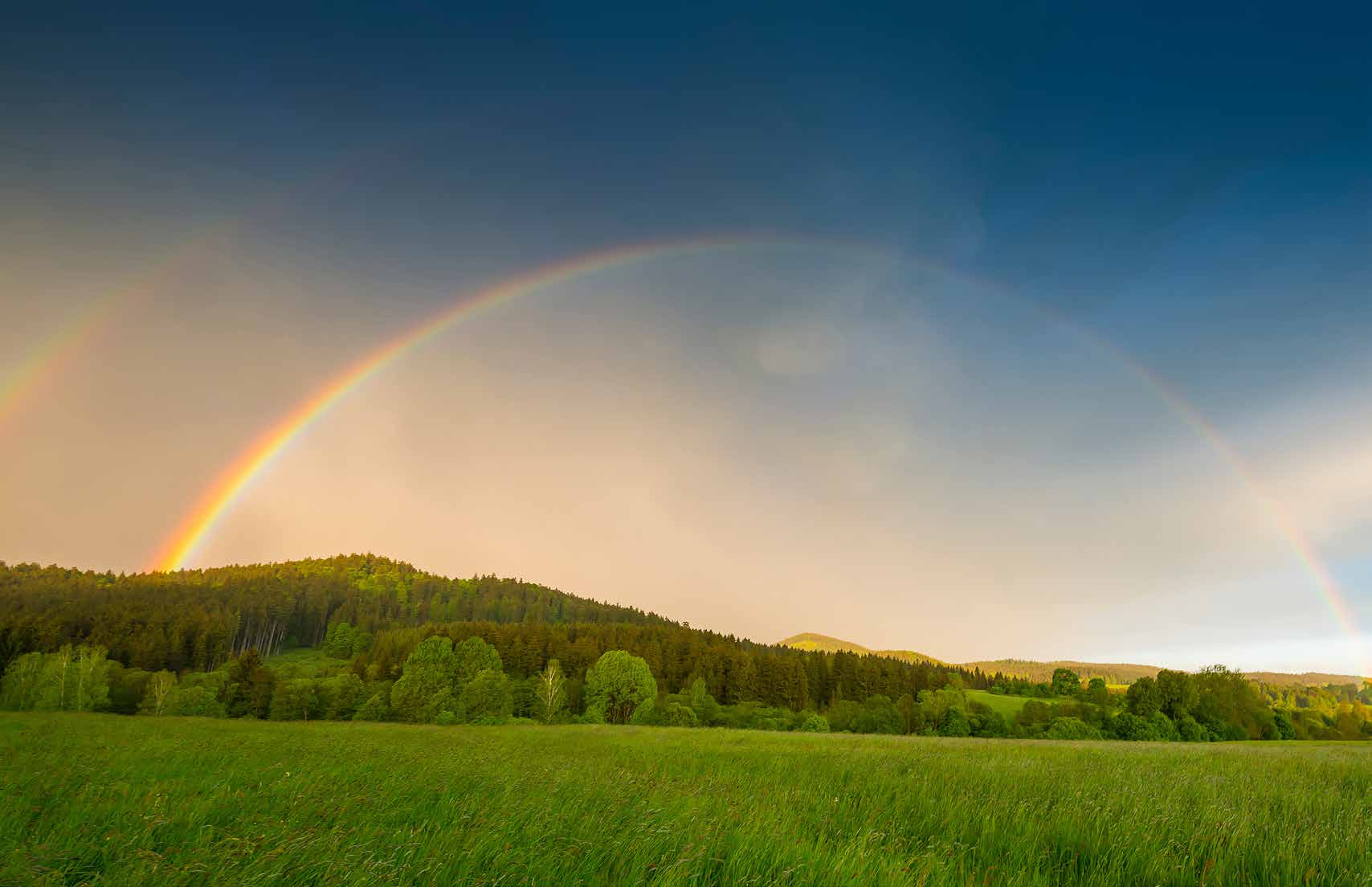 A double rainbow arcs over dark trees beneath a stormy sky