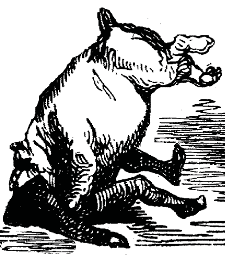 Illustration of a roaring lion
