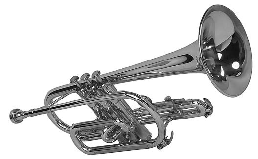 A trumpet