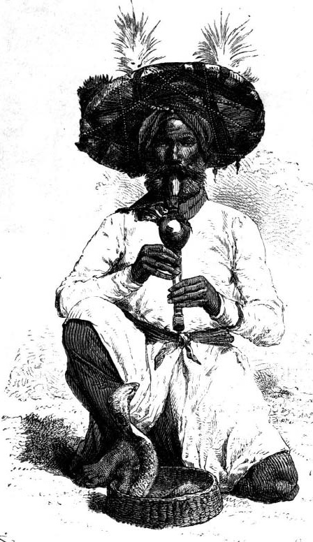 A seated snake charmer playing a wind instrument beside a cobra