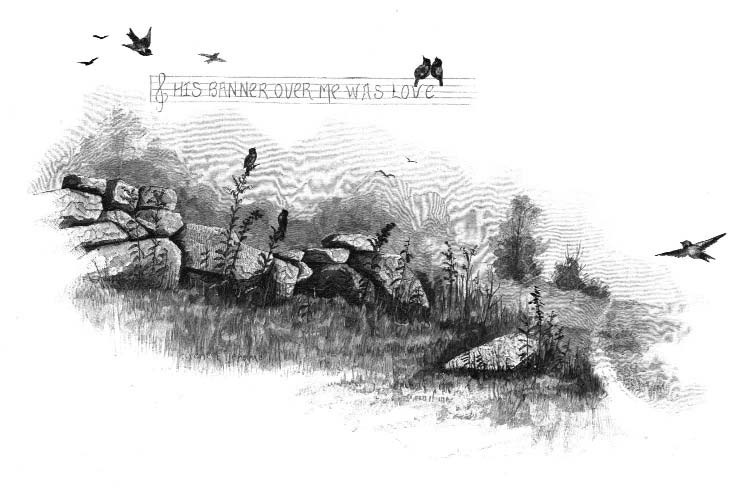 Birds, blossoms and a stone wall with the words HIS BANNER OVER ME WAS LOVE