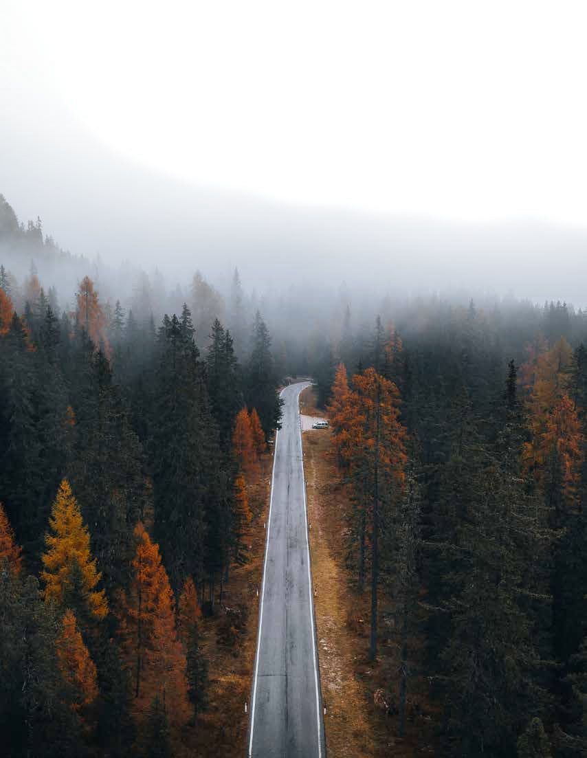 A straight road through a misty autumn forest