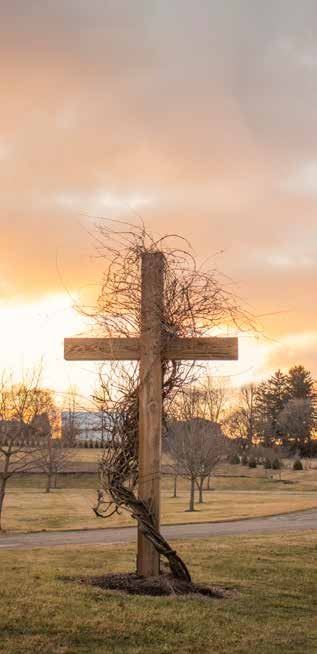 A vine-wrapped wooden cross at sunset