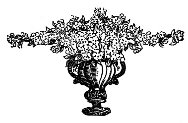 Flowers arranged in an ornamental vase