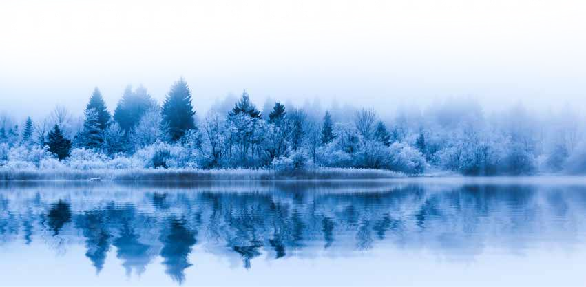 A misty winter forest reflected in a lake