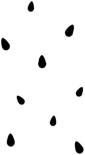 Nine scattered black seed shapes.