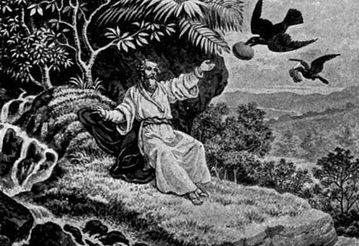 A seated man reaching toward birds beside a tree