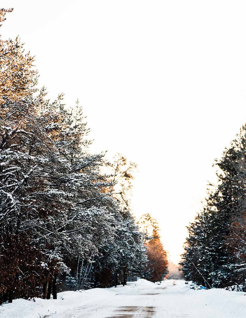 A snow-covered road winding through an evergreen forest