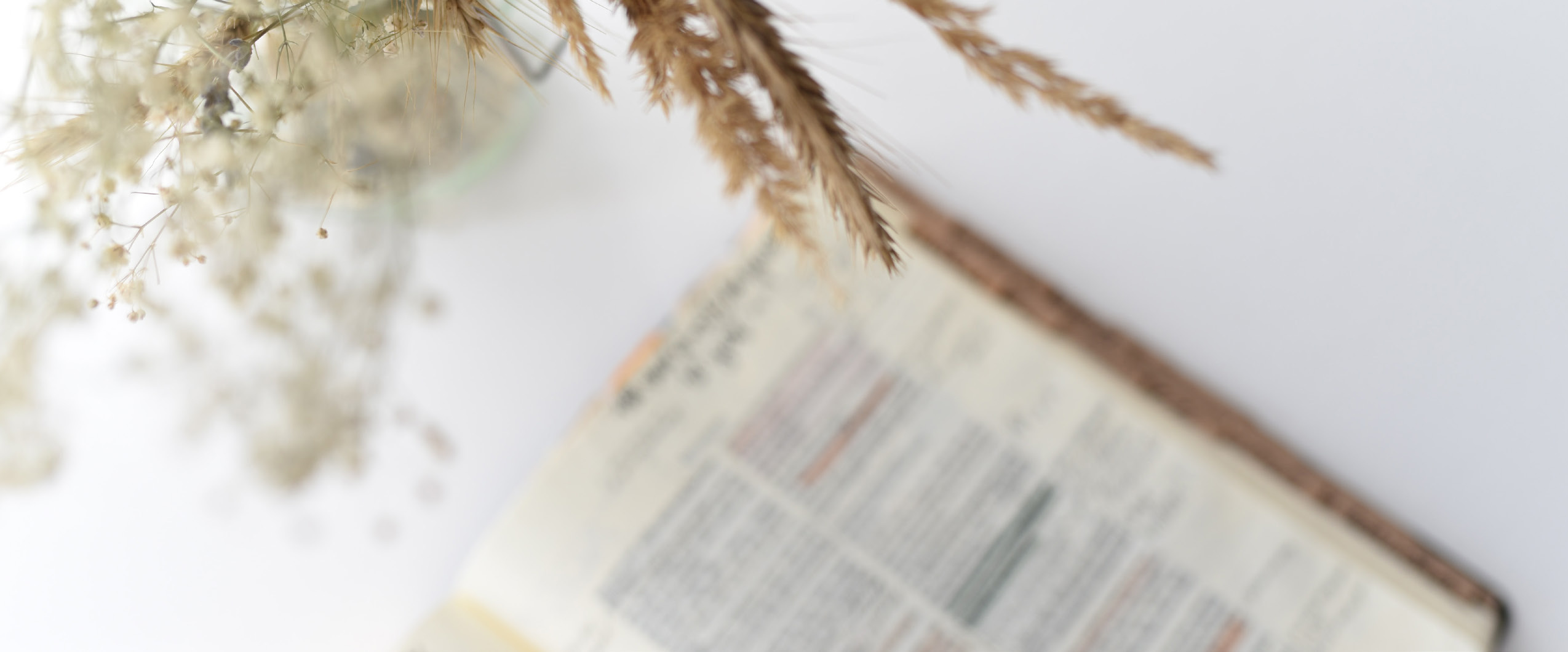 An open Bible beside dried flowers and grasses