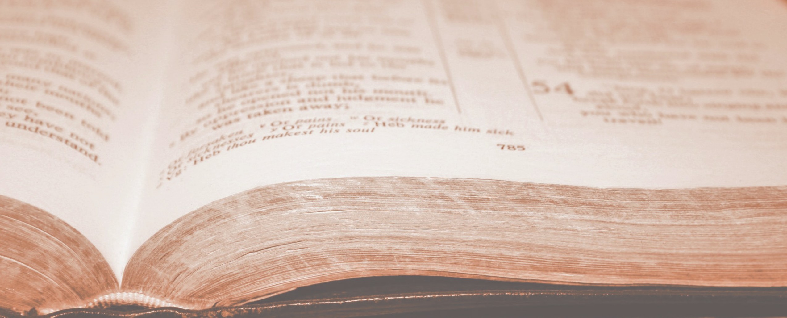 An open Bible in warm sepia light