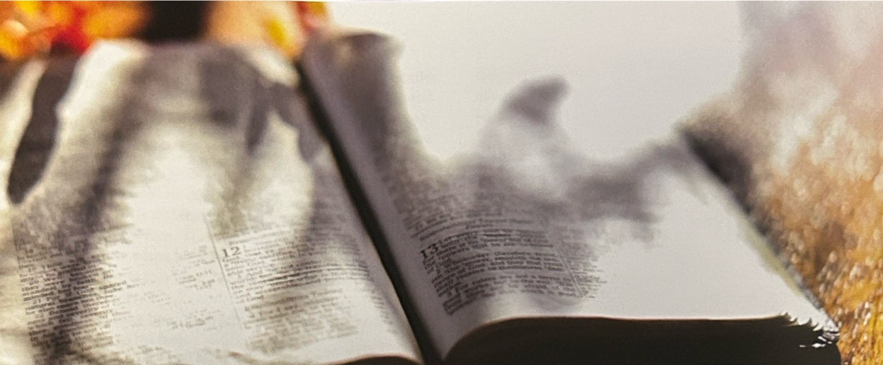 An open Bible in sunlight with shadows across its pages.