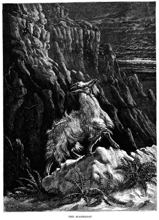 A goat standing among steep rocky cliffs