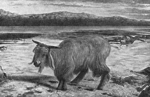 A shaggy goat stands in a barren landscape near water and distant mountains