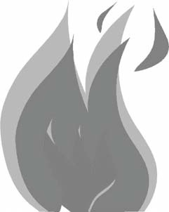 Stylized flame