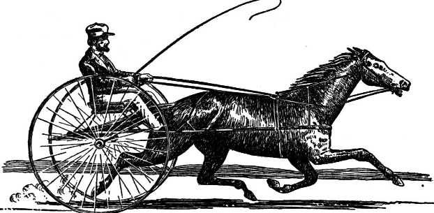 A horse pulling a two-wheeled carriage driven by a man.
