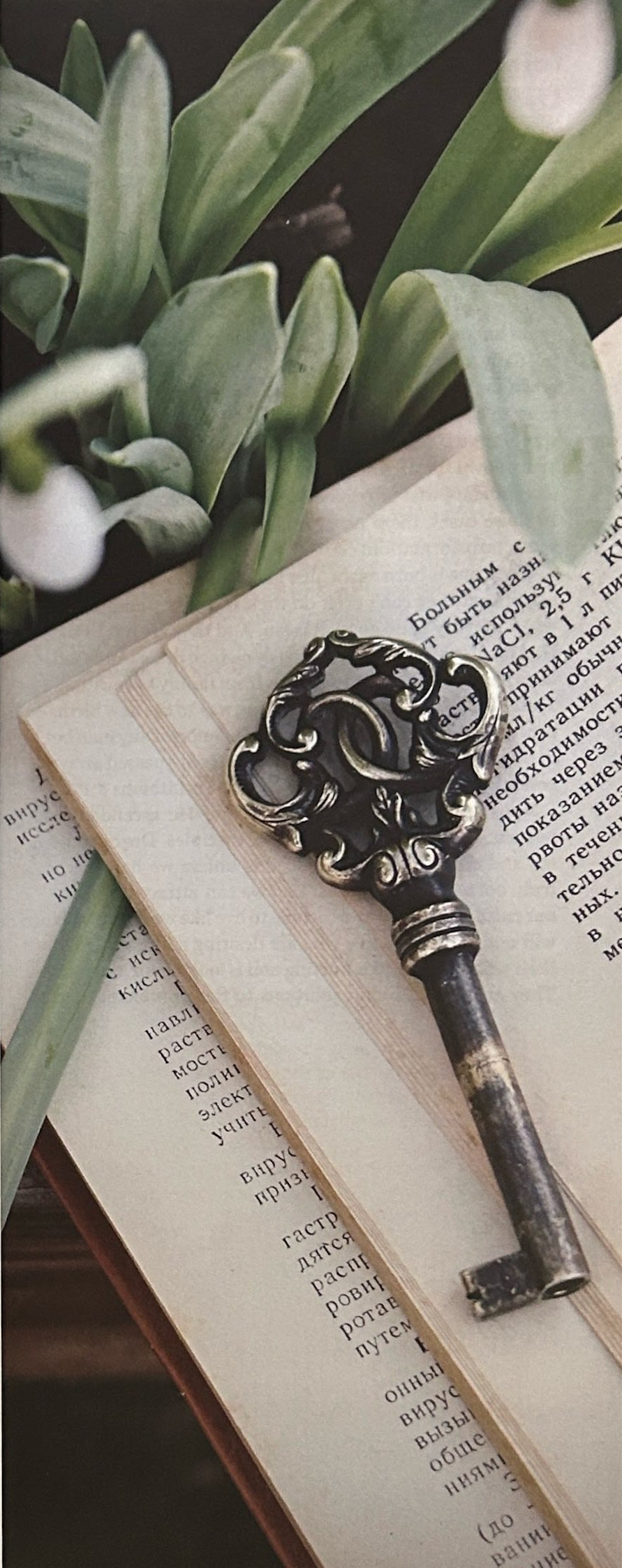 An ornate key on an open book beside tulip leaves and buds.