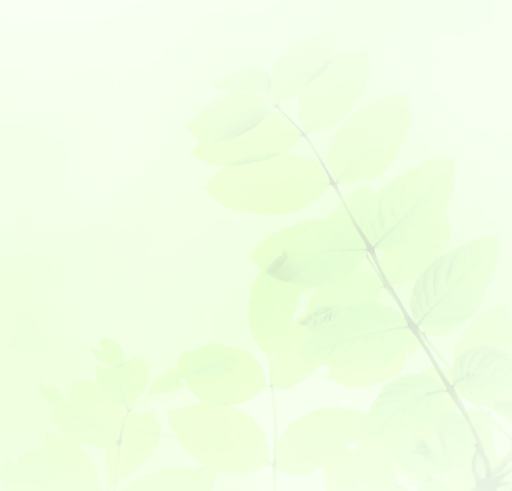 Pale green leafy branches