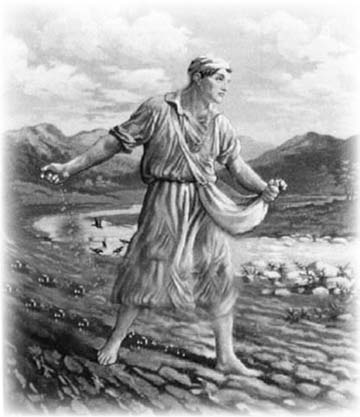 A sower scattering seed in a field